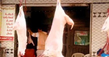 أسعار اللحوم تتأرجح في محلات الجزارة ونتائج التموين بالأقصر اليوم