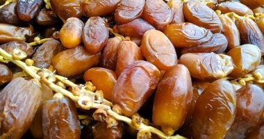 أسعار البلح السيوي في أسواق مطروح اليوم الأحد 28 سبتمبر 2025 تتخطى 50 جنيها 5 أسعار البلح السيوي في أسواق مطروح اليوم الأحد 28 سبتمبر 2025 تتخطى 50 جنيها