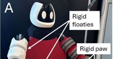 روبوت يكتسب مهارات التعامل مع الأجسام الكبيرة في درس سريع واحد 5 روبوت يكتسب مهارات التعامل مع الأجسام الكبيرة في درس سريع واحد