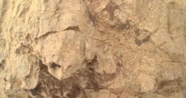 مركبة بيرسيفيرانس تكتشف صخرة تشبه السلحفاة في فوهة جيزيرو بالمريخ