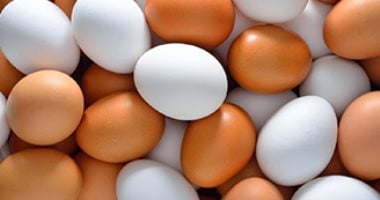 أسعار البيض في كفر الشيخ تتصدر العناوين اليوم الاثنين 22 سبتمبر 2025 5 أسعار البيض في كفر الشيخ تتصدر العناوين اليوم الاثنين 22 سبتمبر 2025