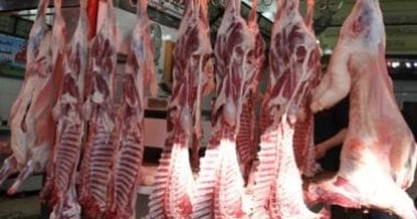 أسعار اللحوم في كفر الشيخ تتصدر المشهد اليوم الإثنين 22 سبتمبر 2025 5 أسعار اللحوم في كفر الشيخ تتصدر المشهد اليوم الإثنين 22 سبتمبر 2025