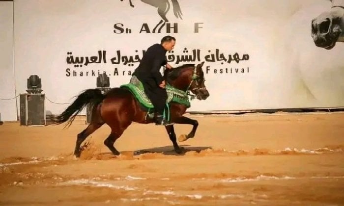 انطلاق التسجيل لمنافسات «أدب وجمال الخيل العربية» في مهرجان الشرقية