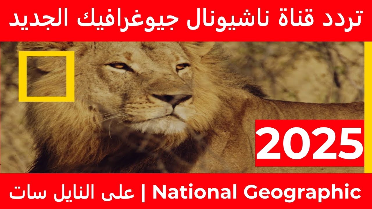 لمحبي المغامرة.. تردد قناة ناشيونال جيوغرافيك الجديد 2025 على الأقمار الصناعية المختلفة 5 لمحبي المغامرة.. تردد قناة ناشيونال جيوغرافيك الجديد 2025 على الأقمار الصناعية المختلفة