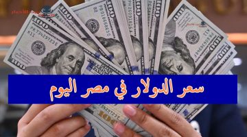 سعر الدولار في مصر 1