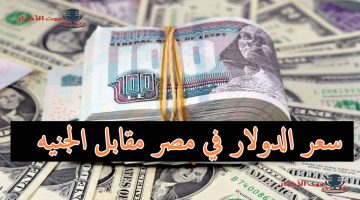 سعر الدولار في مصر 2