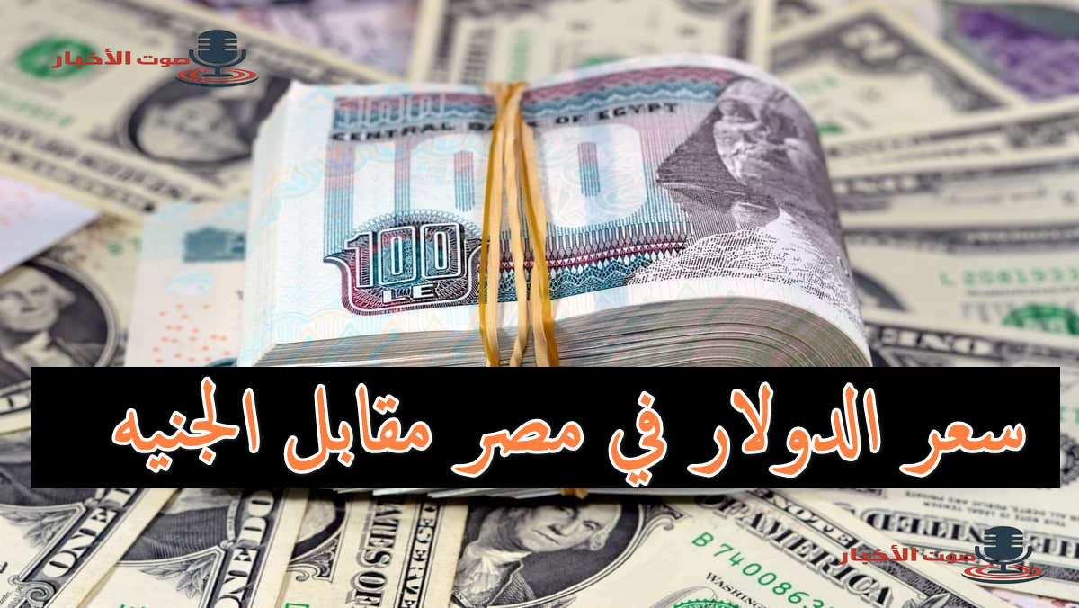 سعر الدولار في مصر اليوم في تداولات الشراء والبيع الصباحية في السوق المصرفي 5 سعر الدولار في مصر اليوم في تداولات الشراء والبيع الصباحية في السوق المصرفي