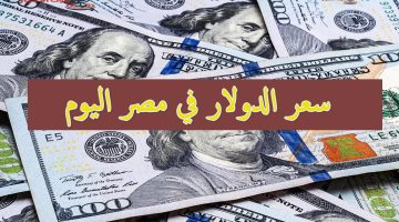 سعر الدولار في مصر