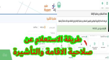 طريقة الاستعلام عن صلاحية الإقامة
