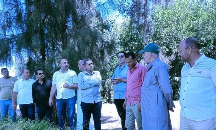 كفر الشيخ: متابعة مستمرة للزراعات الصيفية وتفعيل خطة مكافحة الآفات
