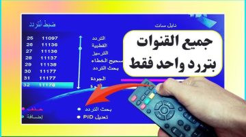 نايل سات. تردد شبكي قوي يفتحلك كل القنوات الجديدة بجودة صورة أوضح