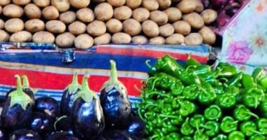 أسعار الخضروات والفواكه اليوم في المنوفية تتصدر القائمة بـ10 جنيهات للكوسة 1 أسعار الخضروات والفواكه اليوم في المنوفية تتصدر القائمة بـ10 جنيهات للكوسة