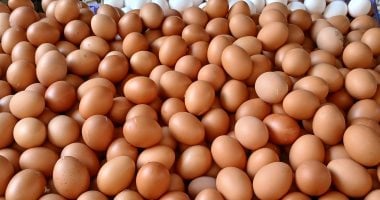 أسعار البيض في كفر الشيخ تتراجع اليوم الأحد 26 أكتوبر 2025 13 أسعار البيض في كفر الشيخ تتراجع اليوم الأحد 26 أكتوبر 2025
