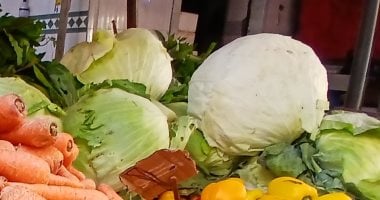 أسعار الخضراوات في الإسكندرية اليوم الكرنب والقرنبيط بـ 20 جنيها فقط 15 أسعار الخضراوات في الإسكندرية اليوم الكرنب والقرنبيط بـ 20 جنيها فقط