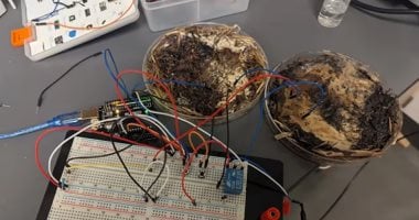 علماء يبتكرون وحدات تخزين بيولوجية جديدة بديلة للهارد ديسك صديقة للبيئة 1 علماء يبتكرون وحدات تخزين بيولوجية جديدة بديلة للهارد ديسك صديقة للبيئة