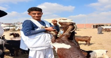 ارتفاع أسعار الماعز في سوق الثلاثاء للمواشي بالشرقية فيديو اليوم 1 ارتفاع أسعار الماعز في سوق الثلاثاء للمواشي بالشرقية فيديو اليوم