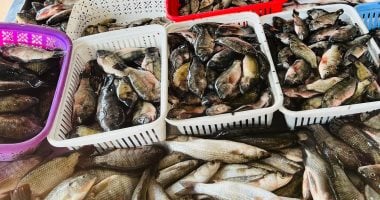 أسعار الأسماك في أسواق دمياط اليوم بوري بـ100 جنيه وبلطي بـ60 جنيه